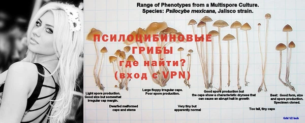 гашиш Арсеньев