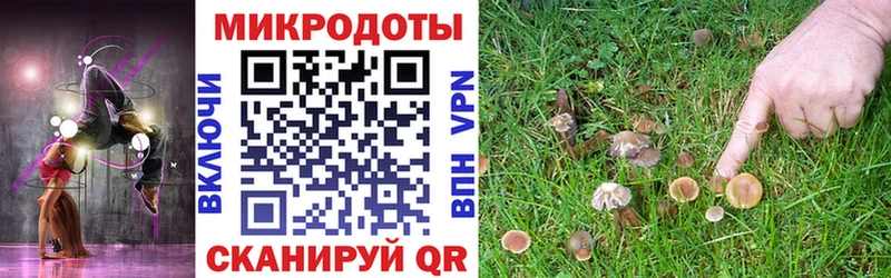 Псилоцибиновые грибы MAGIC MUSHROOMS  Полярный 